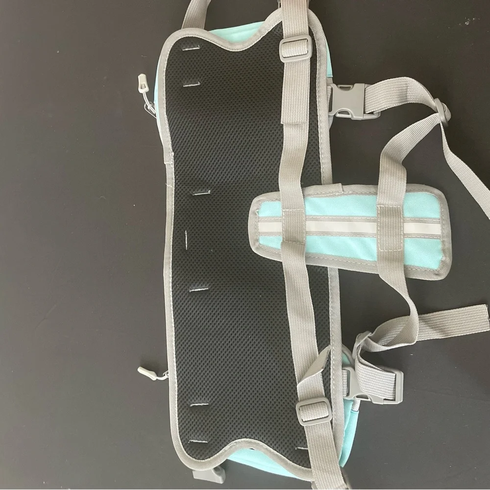 Dog Harness and Mint Green Hiking Vest